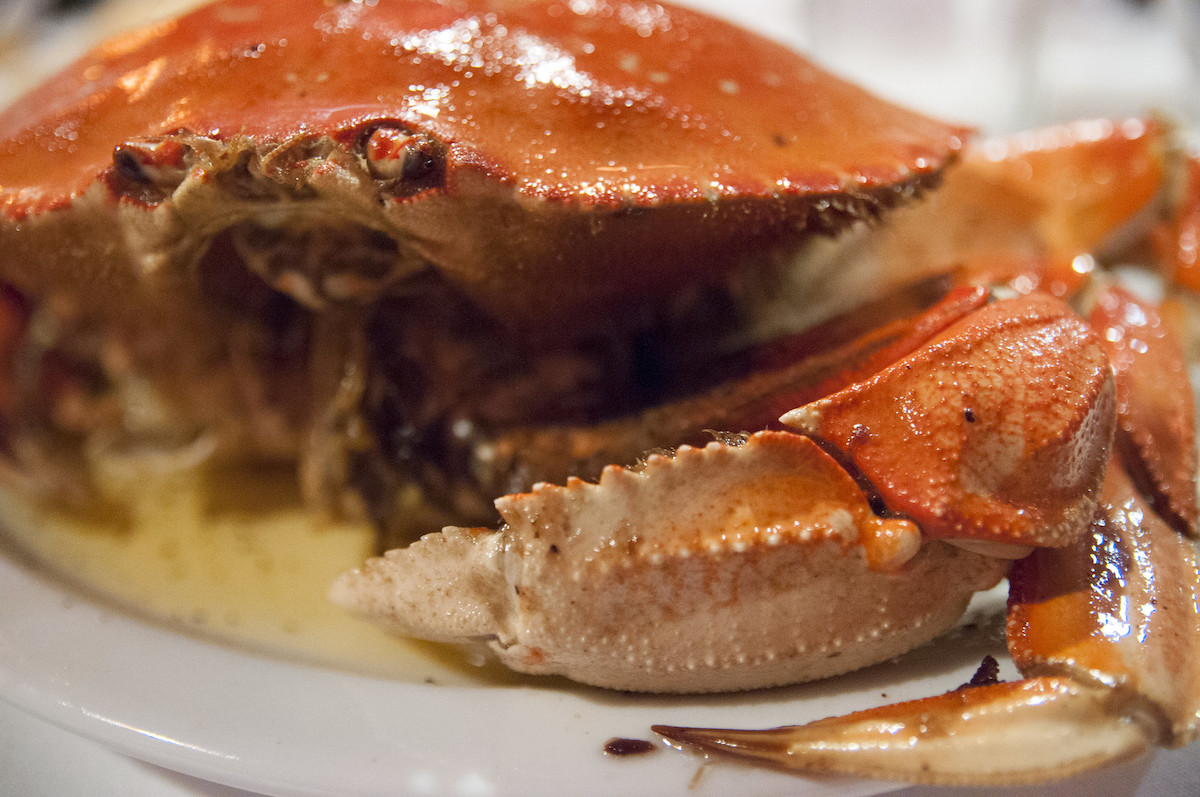 Extreme close up of a roasted Dungeness crab at Thanh Long in San Francisco
