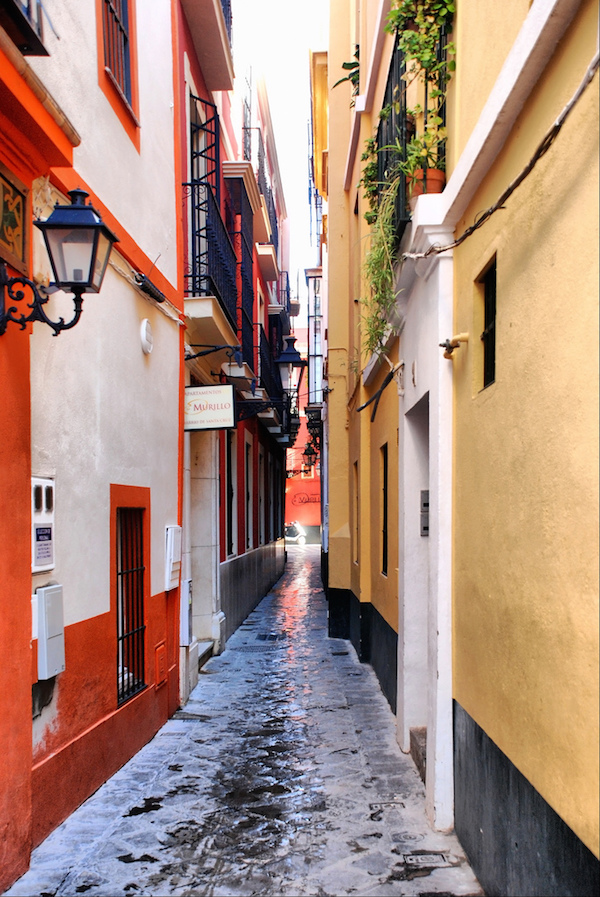Wandering the streets of Seville costs nothing! The Santa Cruz neighborhood of Seville is definitely one of the most picturesque and is an excellent free thing to do in Seville.