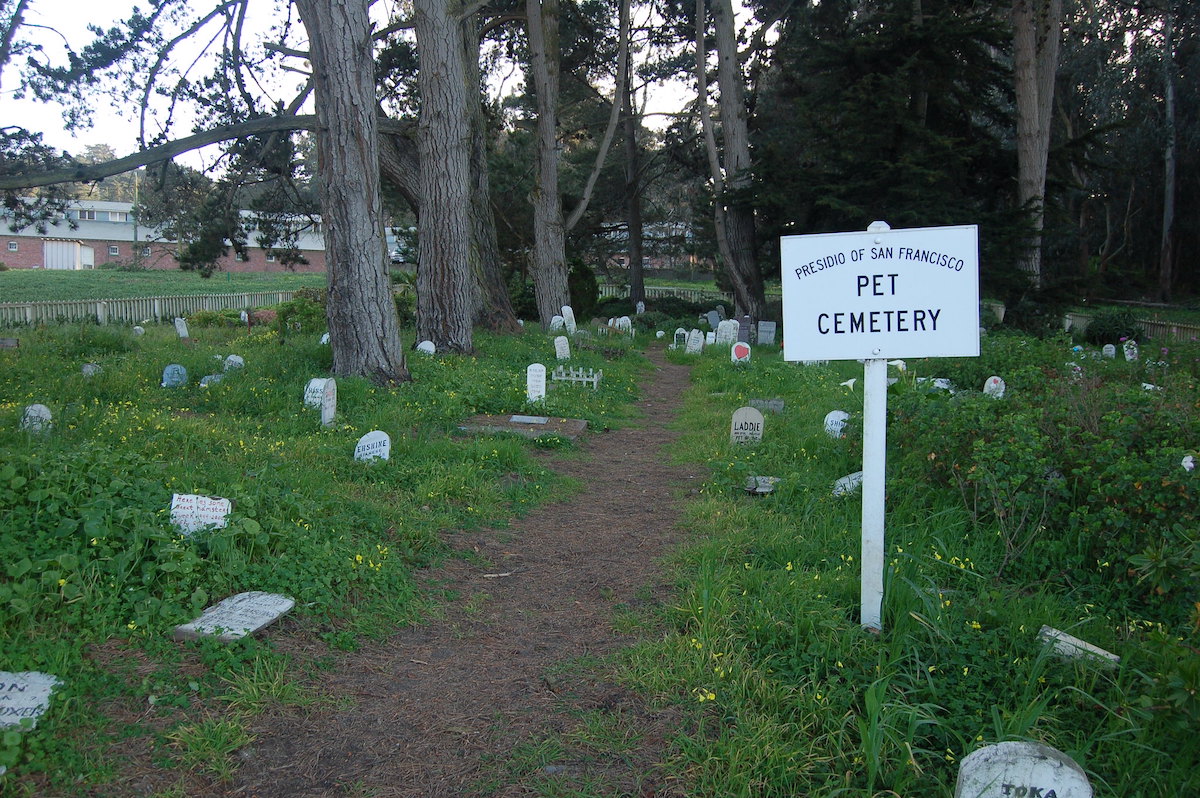 Small gravestones rise up from green grass at the Presidio Pet Cemetery, a unique place to visit in San Francisco for free