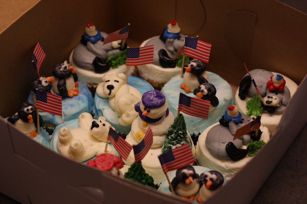 Close up of a box of highly decorated cupcakes from Party Favors in Boston. The upcakes are topped with blue icing and frosting penguins, polar bears, and snowmen.