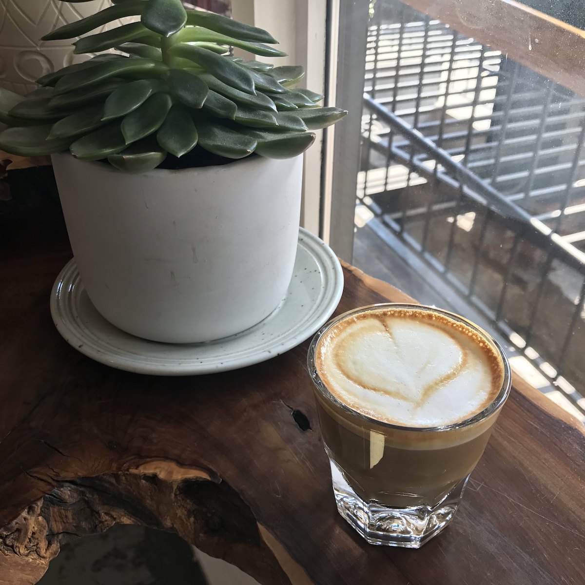 Close up of a cortado in a clear glass on a wooden counter next to a potted succulent