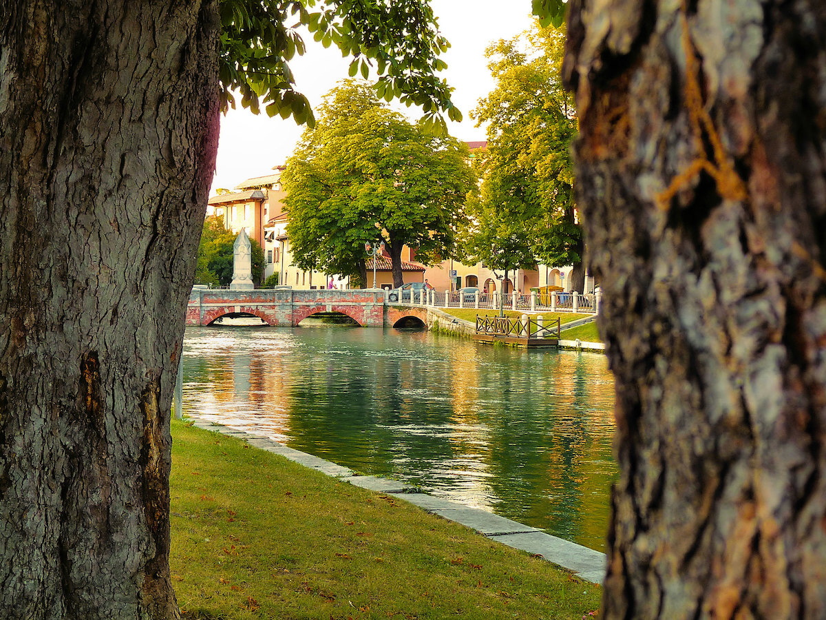 From betwen two tree trunks, we see a bridge stretching over the river in Treviso with buildings in the background