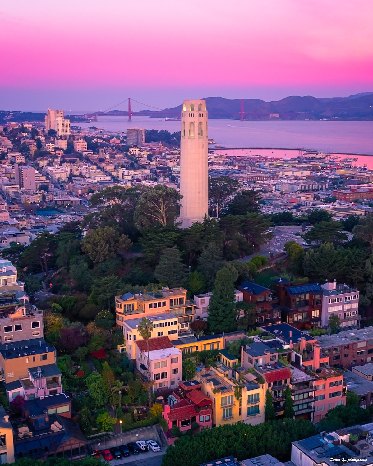 A landscape shot of San Francisco at sunrise. The Golden gate bridge stretches in the distance, and the Coit Tower in the foreground rises above the trees and surrounding buildings