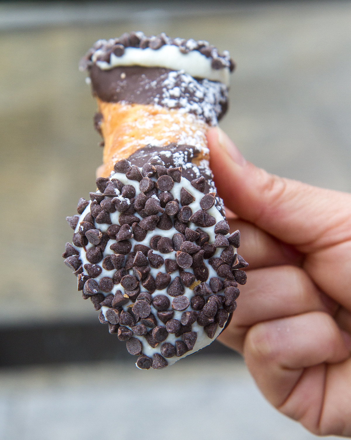 close up of a person holding a cannoli covered in chocolate chips