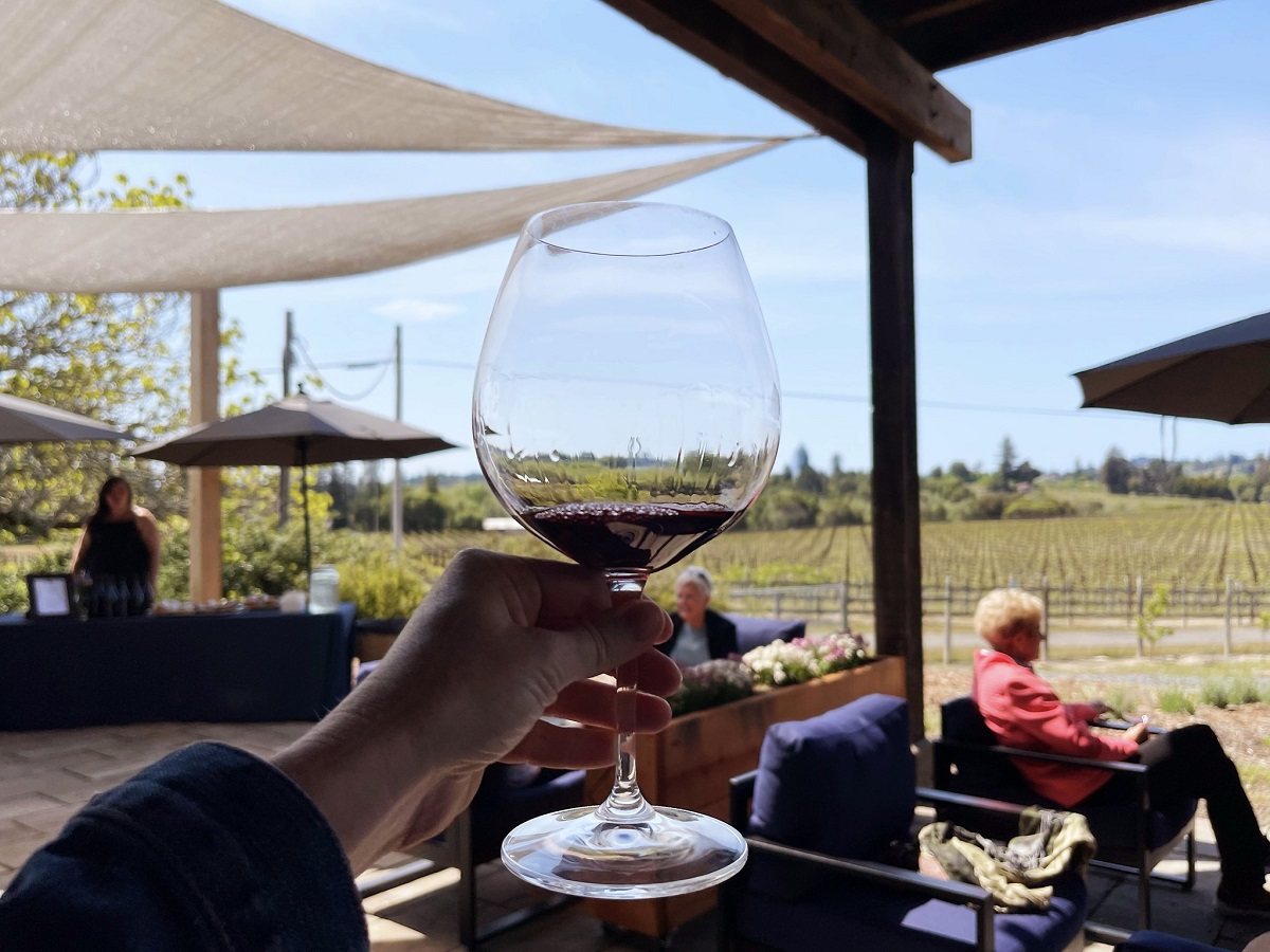 Visitor holding glass of red wine in front of a vineyard in California