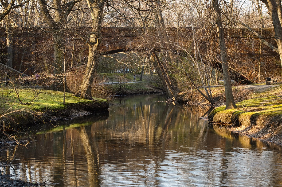 Green outdoor area with many trees, a bridge, and a body of water running through the middle