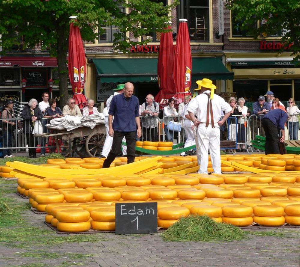 A customer browses Gouda cheese at the Alkmaar Cheese Market