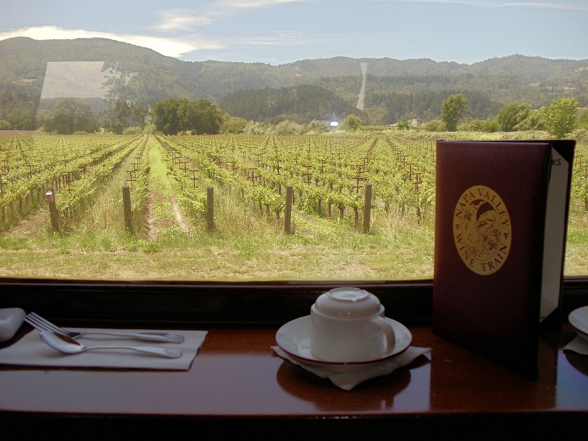 View from the Napa Valley wine train out onto a vineyard in California