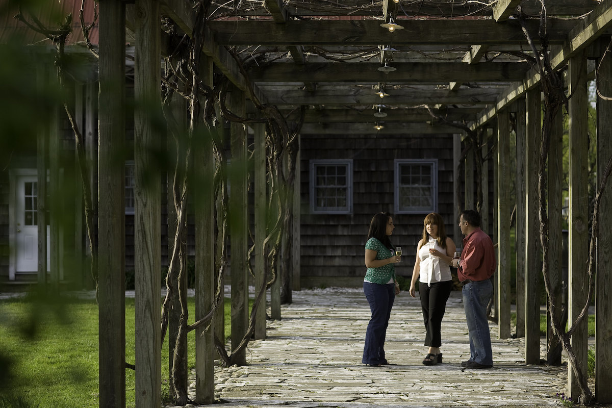 three people holding wine glasses stand underneath a pergola at a winery in massachusetts