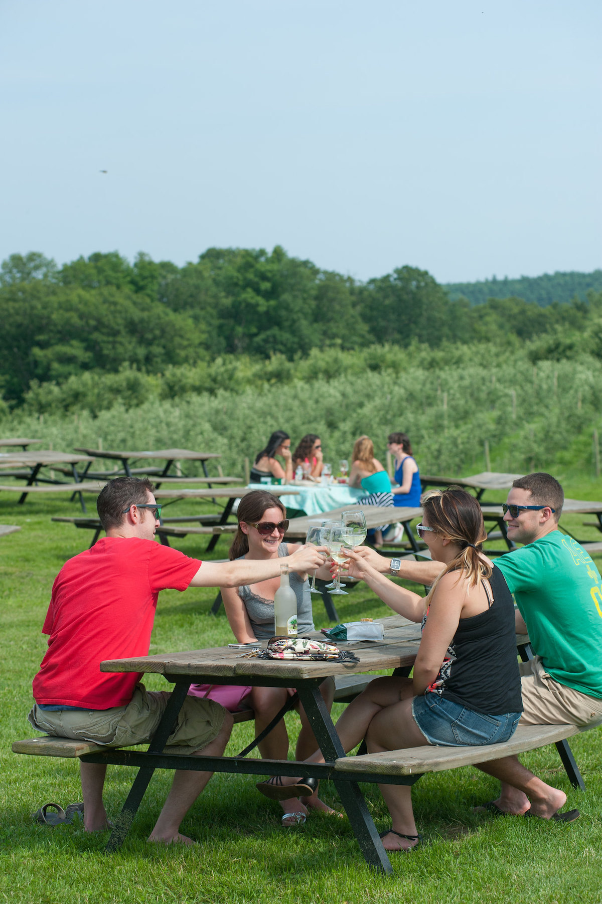 four people sit around a picnic table outside with a vineyard in the background