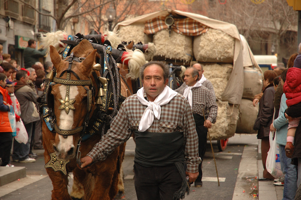 One of the most unique events taking place in Barcelona in January is the Tres Tombs procession. Hundreds of locals come out to have their pets blessed by a priest as part of an age-old tradition.