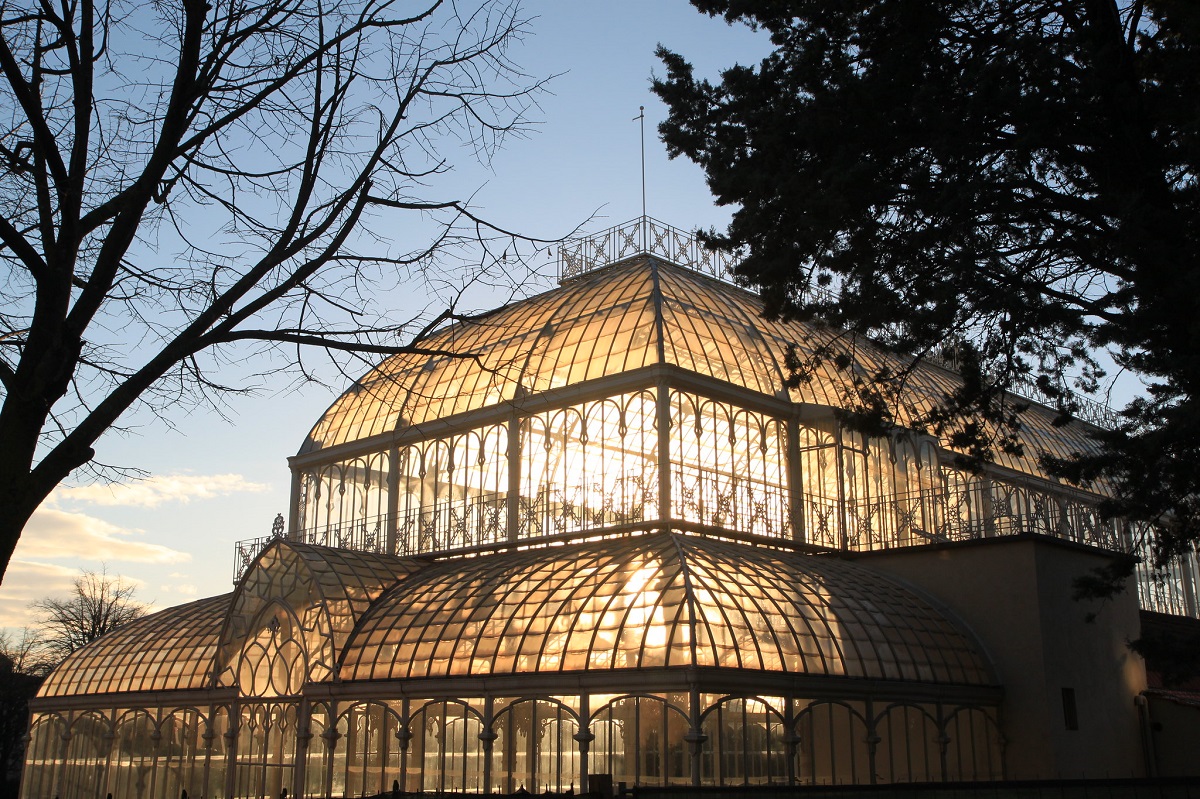 A tall steel and glass structure reflects light at dusk with trees around