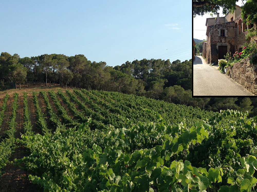 CanSais wineries in Barcelona