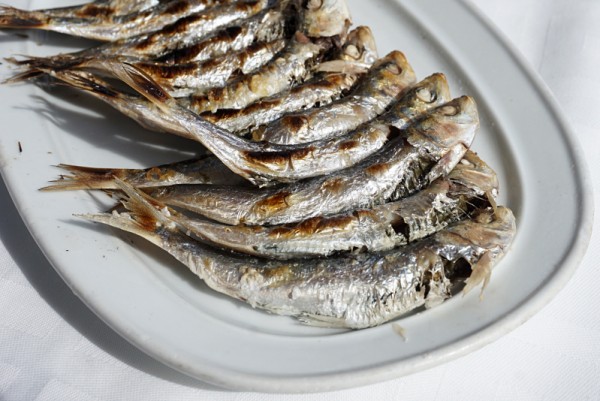 Eating in Malaga? Don't forget to try this dish, an 'espeto' (skewer) of sardines!