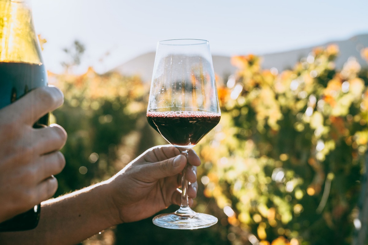 Hand holding a glass of red wine at a vineyard in Bordeaux, France