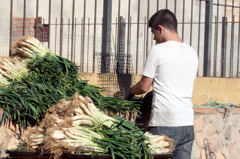 Looking for where to eat calçots near Barcelona? Check out our Authentic Village Calçot Experience! 