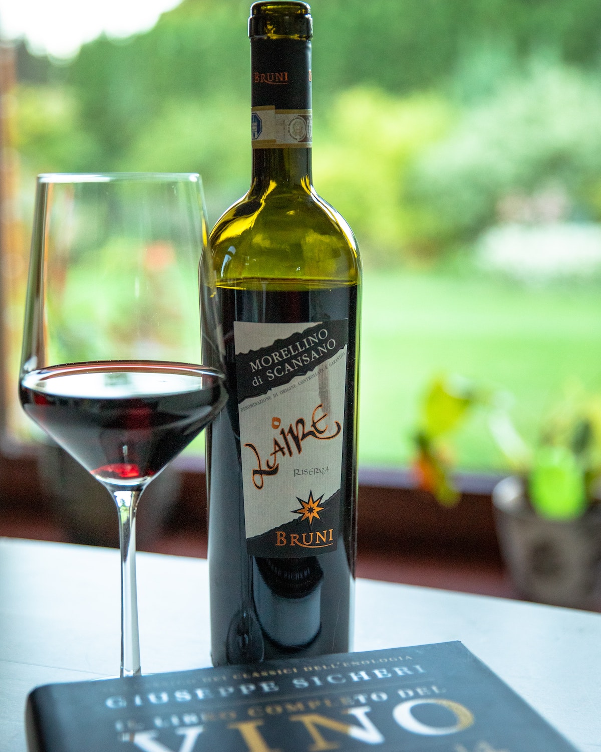 A glass of red wine next to the wine bottle with a green vineyard in the background.