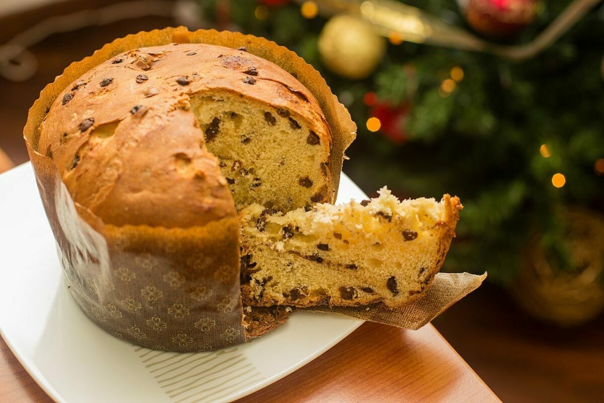 panettone on white plate