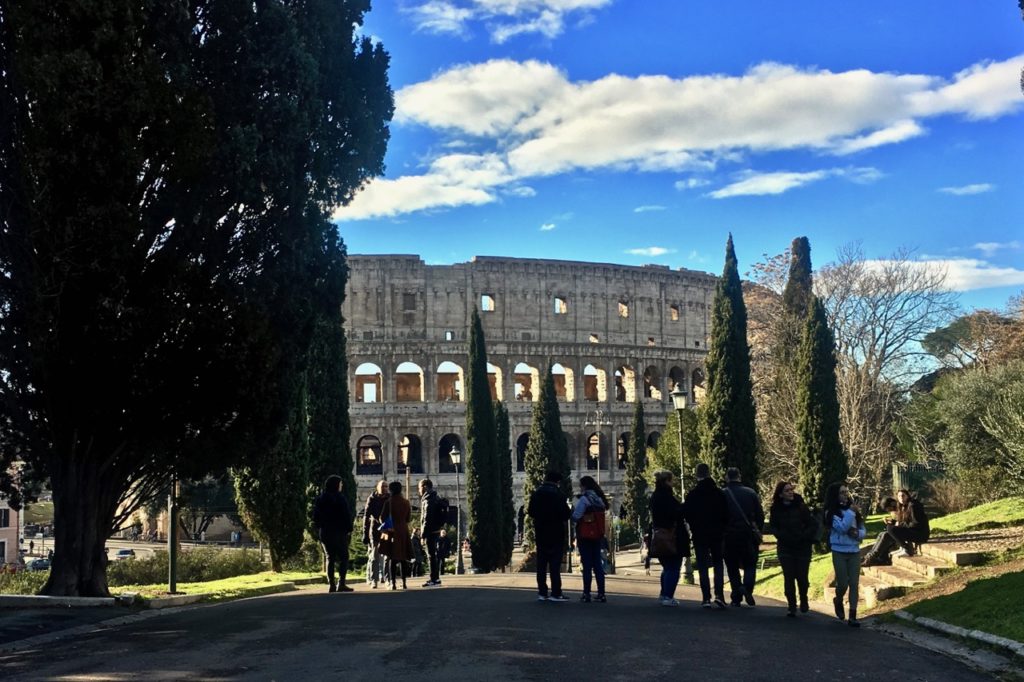 View of Colosseum from the College Oppio in Rome