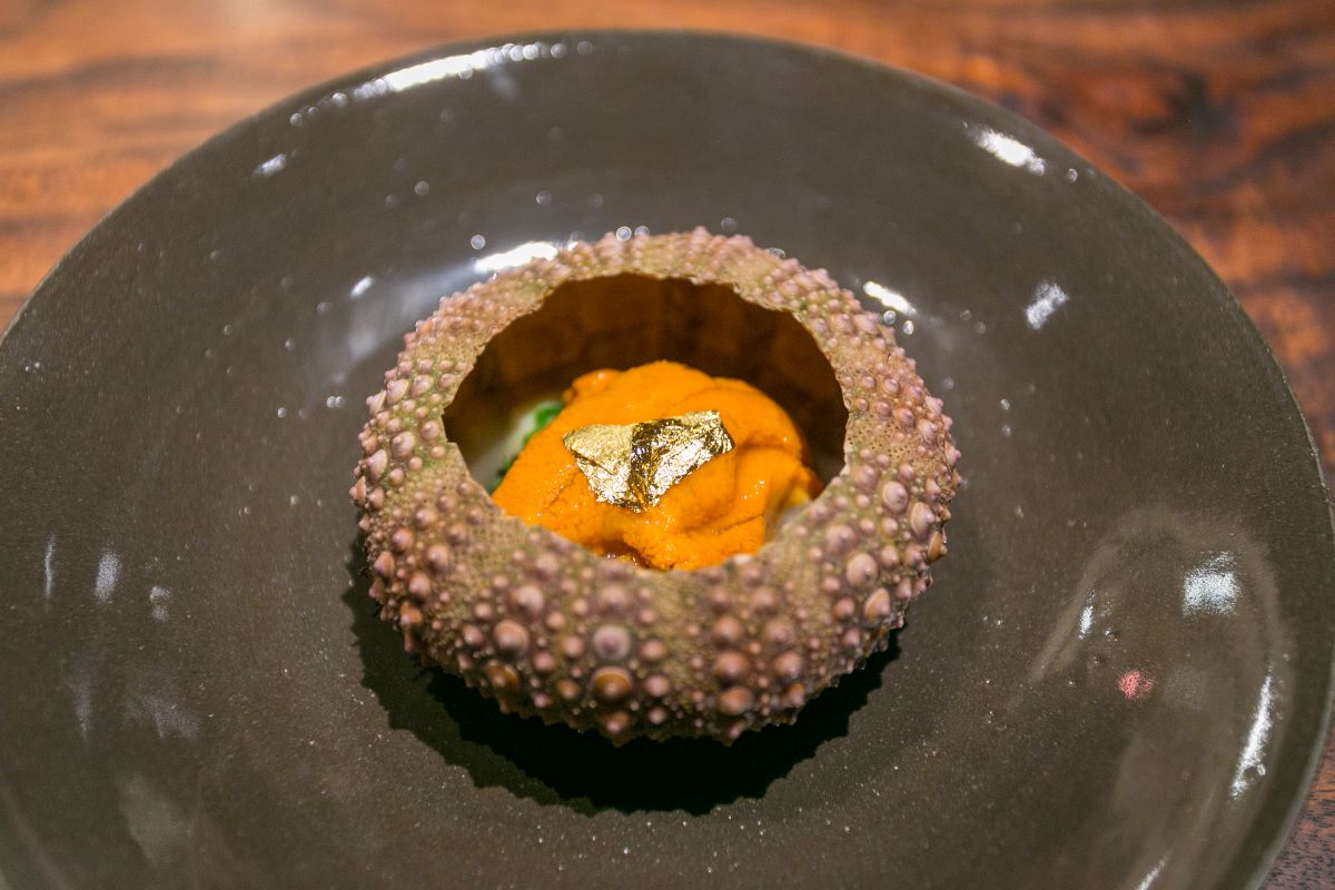 sea urchin dish at Saison in San Francisco