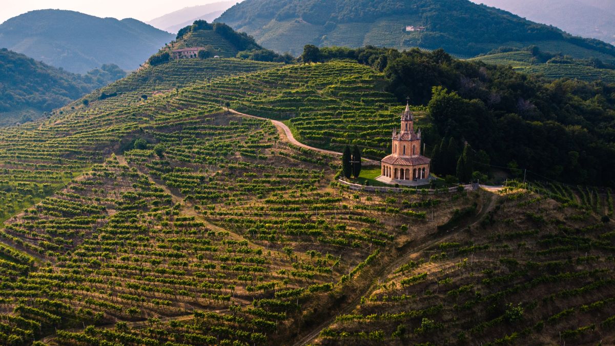 old church surrounded by hills with vineyards