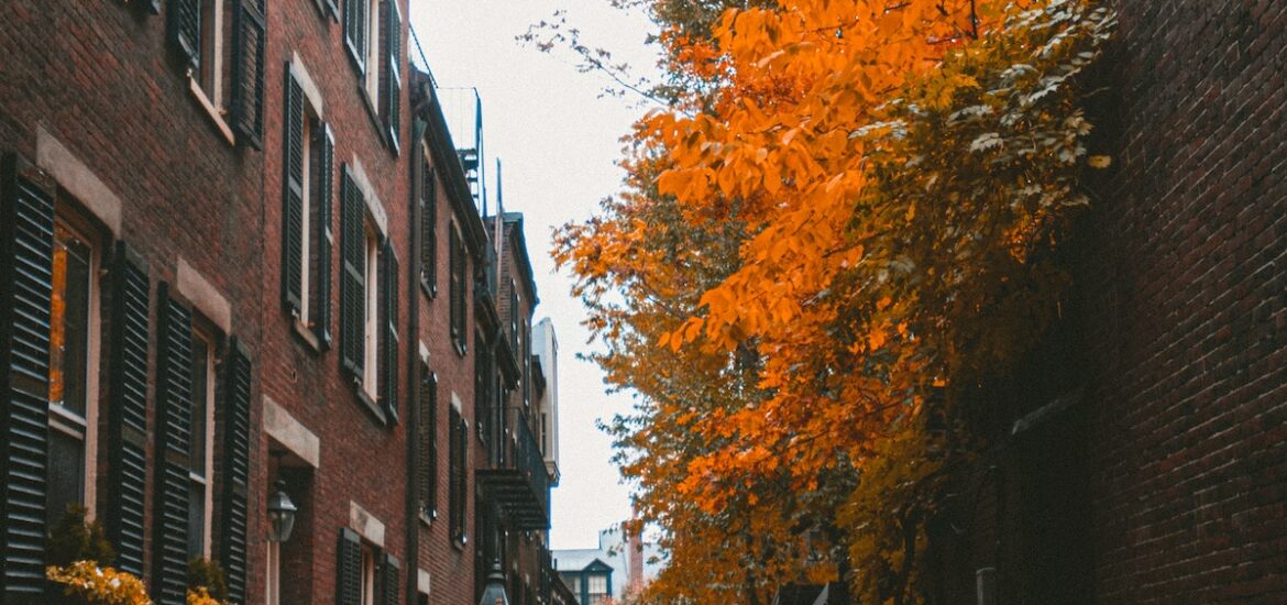 A cobblostoned street in Boston with old brick buildings on either side, with trees with vibrant orange fall leaves on the right.