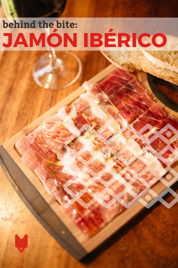 Jamón ibérico is one of Spain's most legendary tapas and a staple of local cuisine. But what makes this ham better than all the rest? Join us as we go behind the bite. #Spain #jamón #foodie #tapas #delish