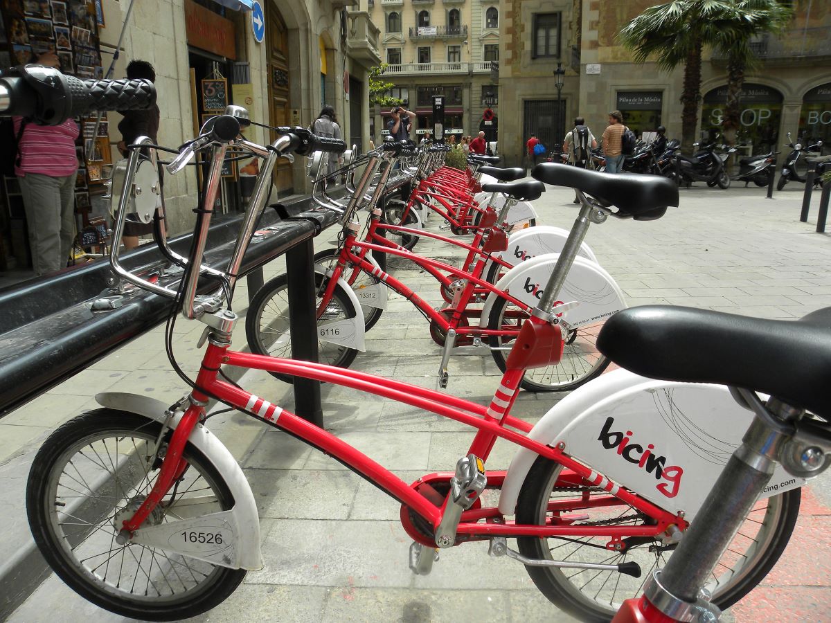 row of red bikes with black seats
