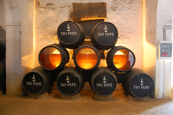 Sherry aging in barrels at the González Byass bodegas in Jerez.