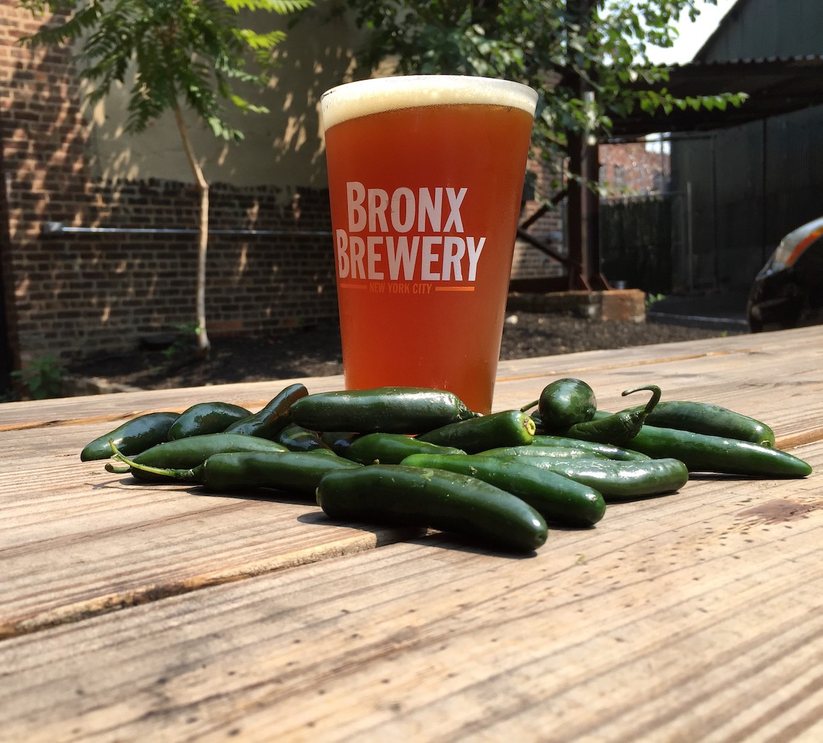 Beer in a glass reading Bronx Brewery on a wooden table with several small green peppers