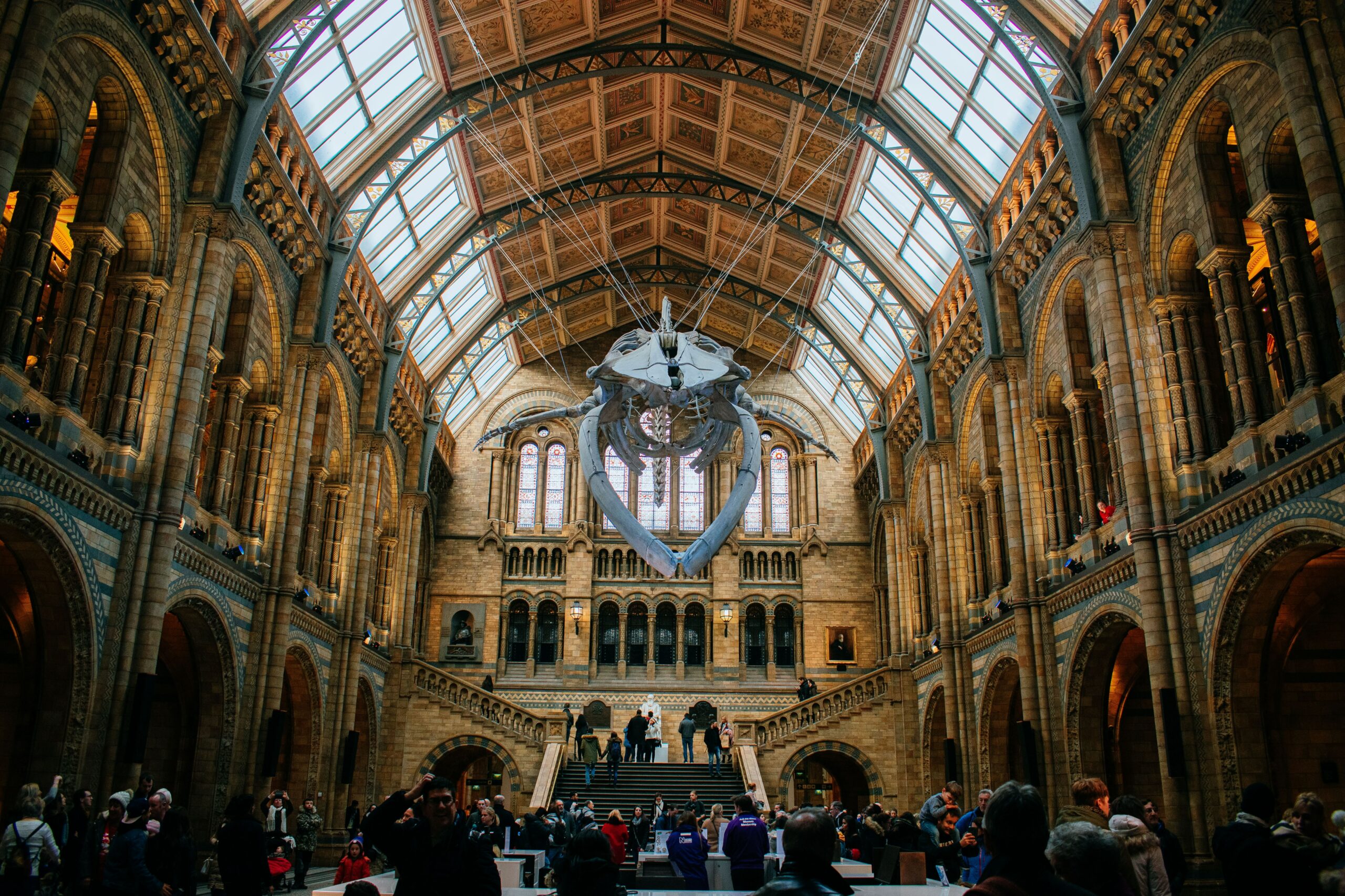 The natural History Museum in London 
