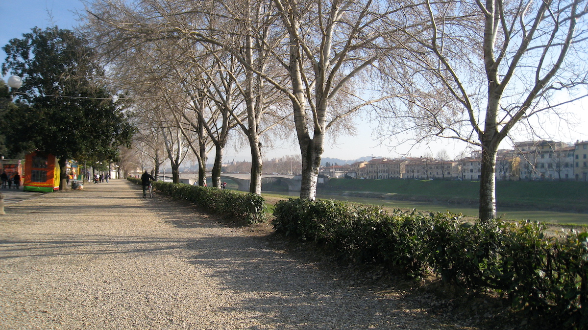Wide walking path alongside a river lined by trees and bushes