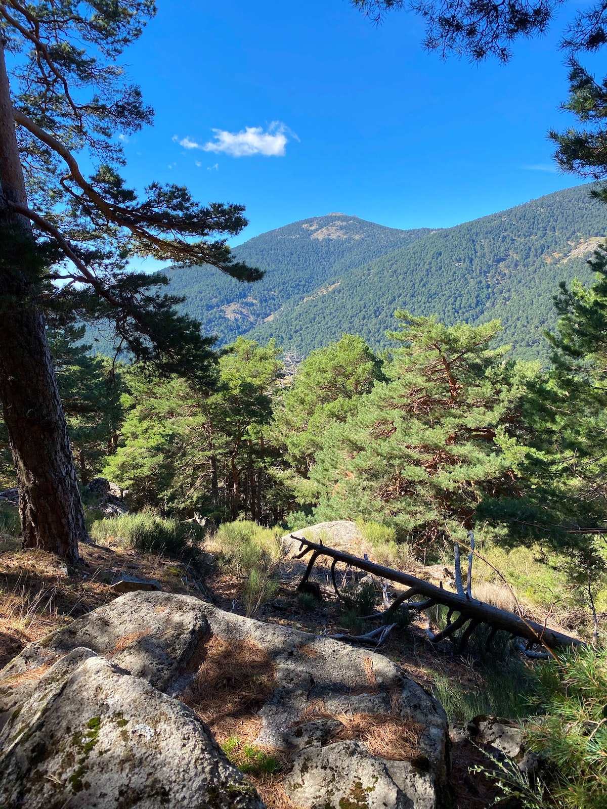 Green mountain landscape on a clear day.