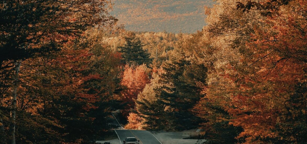A car drives on a winding road with mountains in the background and trees with red and golden fall leaves lining the road