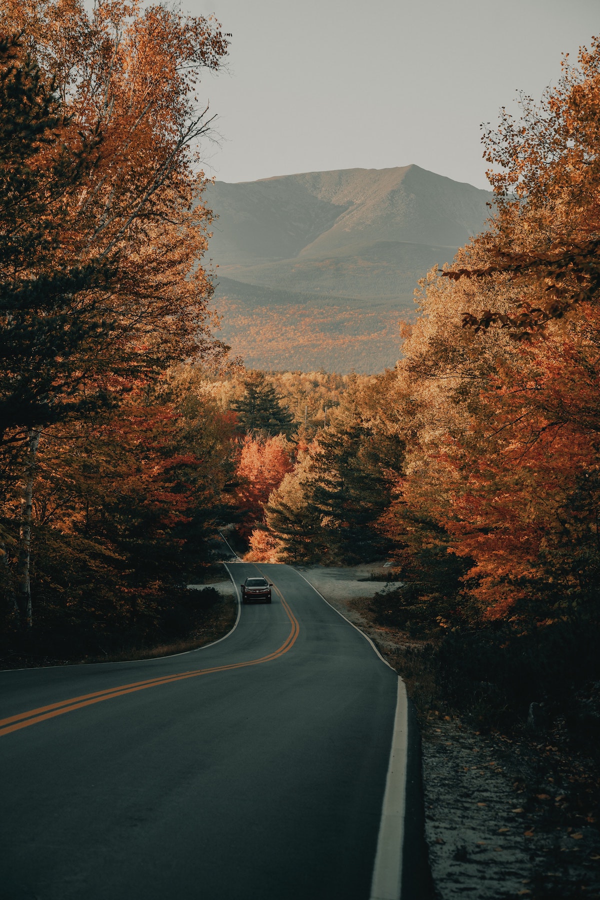 A car drives on a winding road with mountains in the background and trees with red and golden fall leaves lining the road