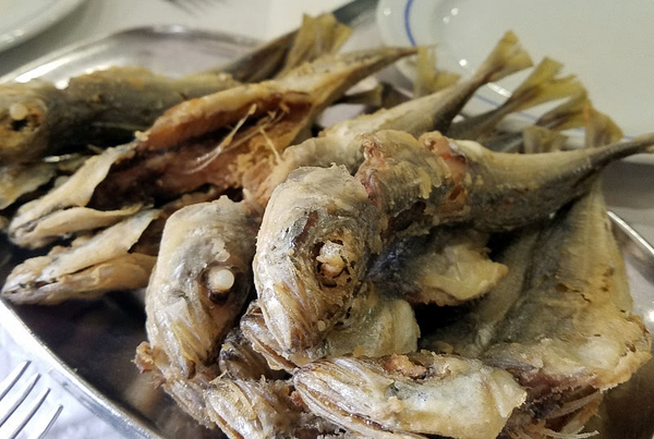 There's nothing we love more than digging into a plate of tasty, healthy sardines!