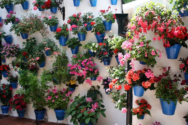 If you're visiting Seville in May, consider checking out the patios festival in nearby Cordoba.