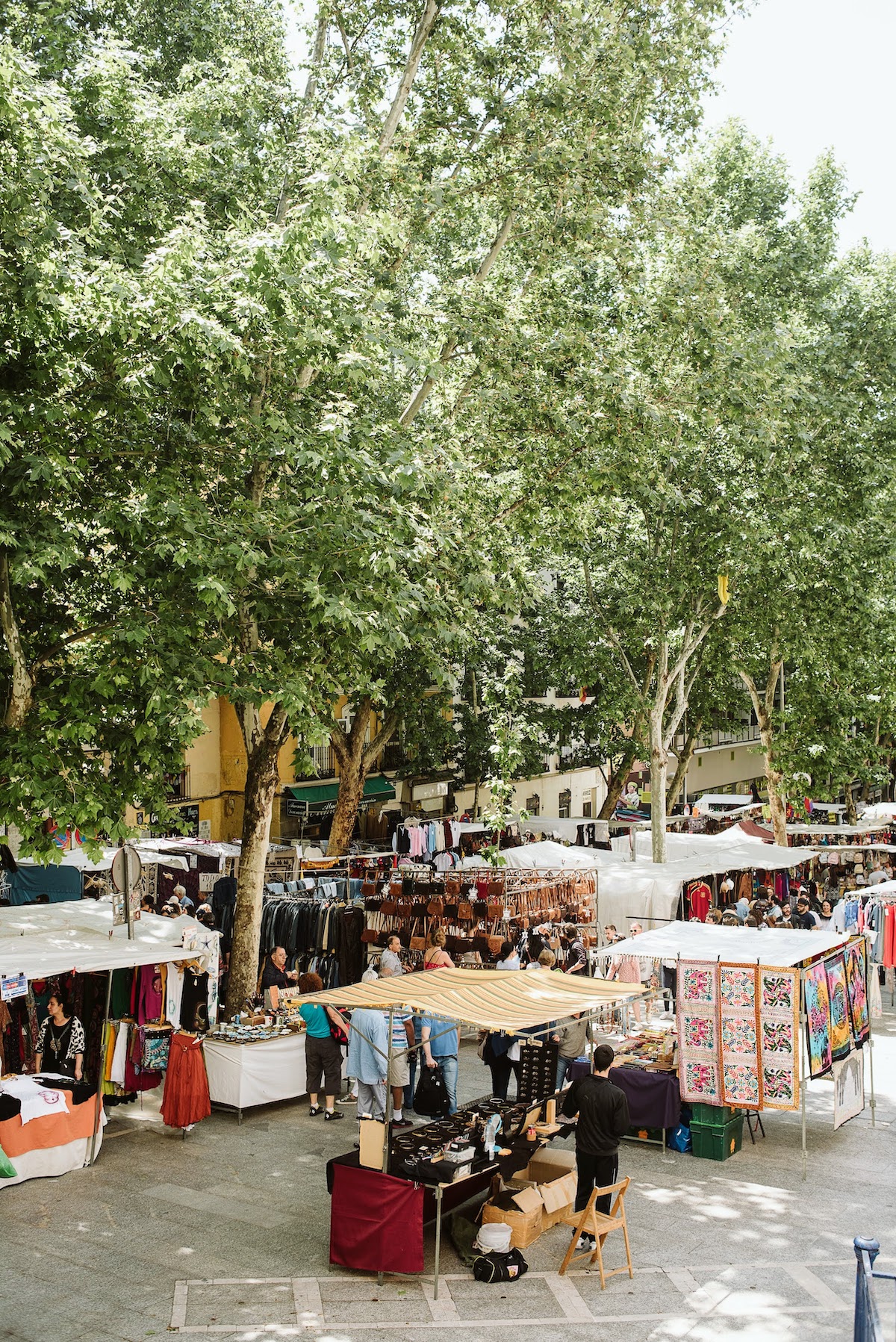 Flea market stalls beneath leafy green trees.