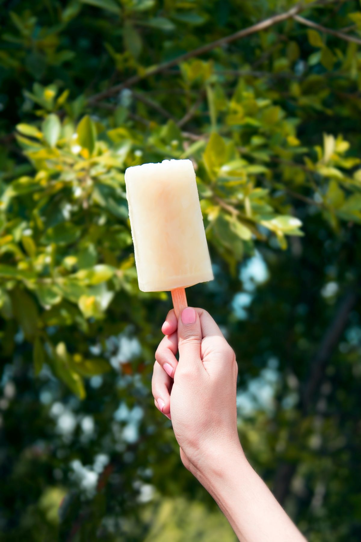 white popsicle with trees background