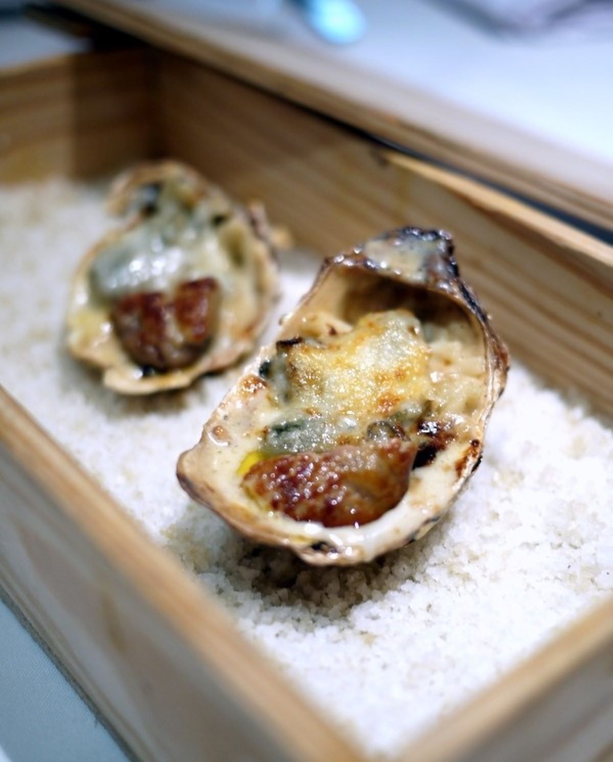 baked oysters on salt in wooden box