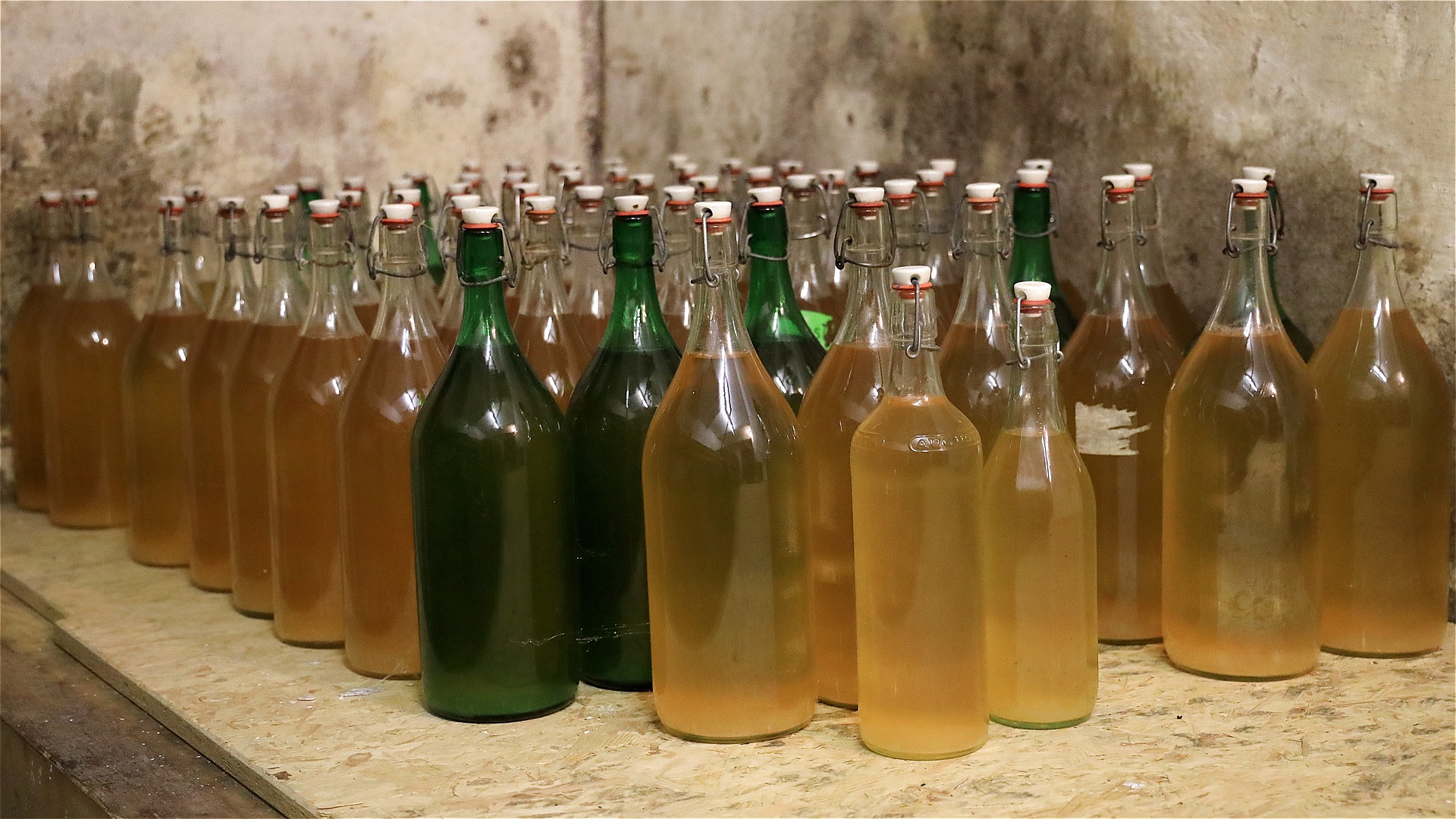 Bottles of cider fermenting 