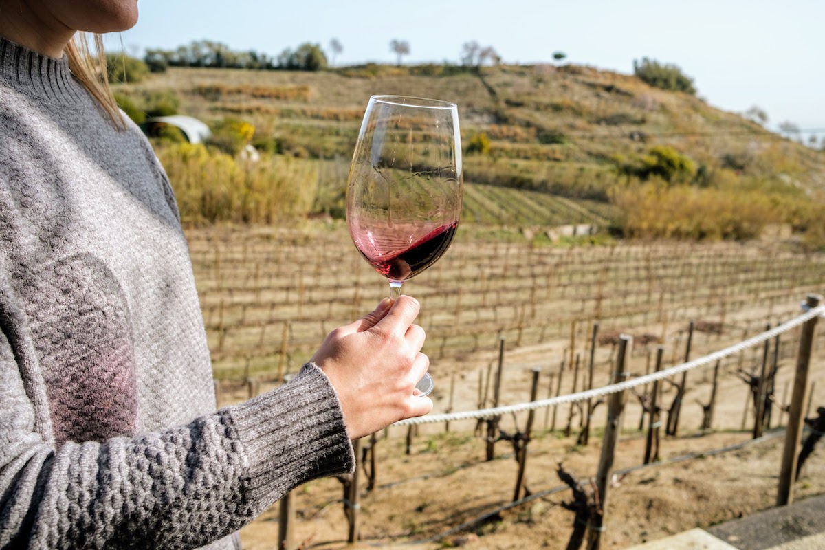 Person holding a glass of red wine with vineyards in the background.