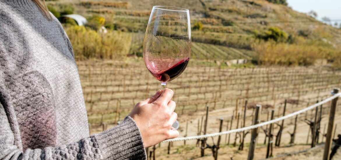 Person's hand holding a glass of red wine with a vineyard in the background