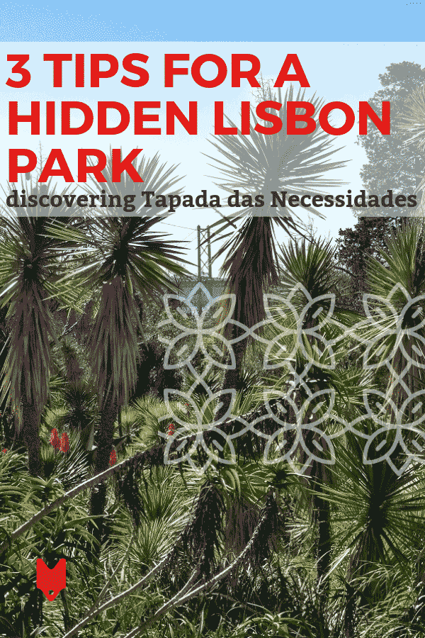 Discover a hidden Lisbon gem: the Tapada das Necessidades park! Here's what you need to know.