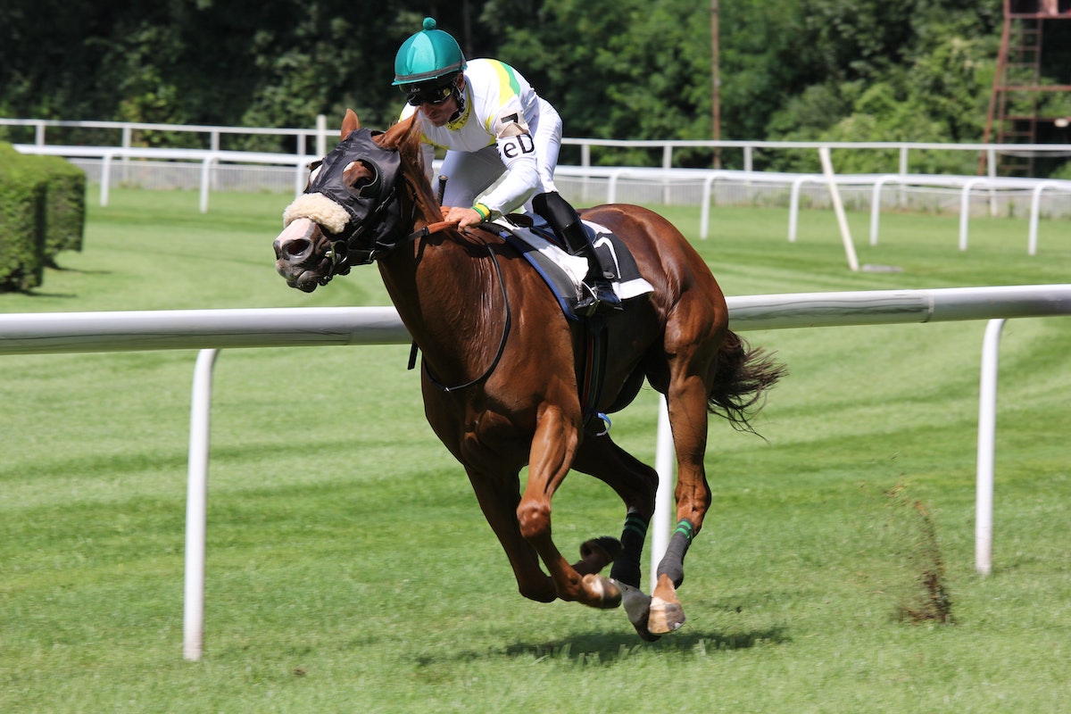 Jockey on a brown horse racing on a grass track.