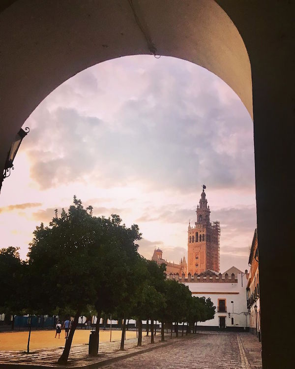 The view of the Giralda tower from the Patio de Banderas in Seville