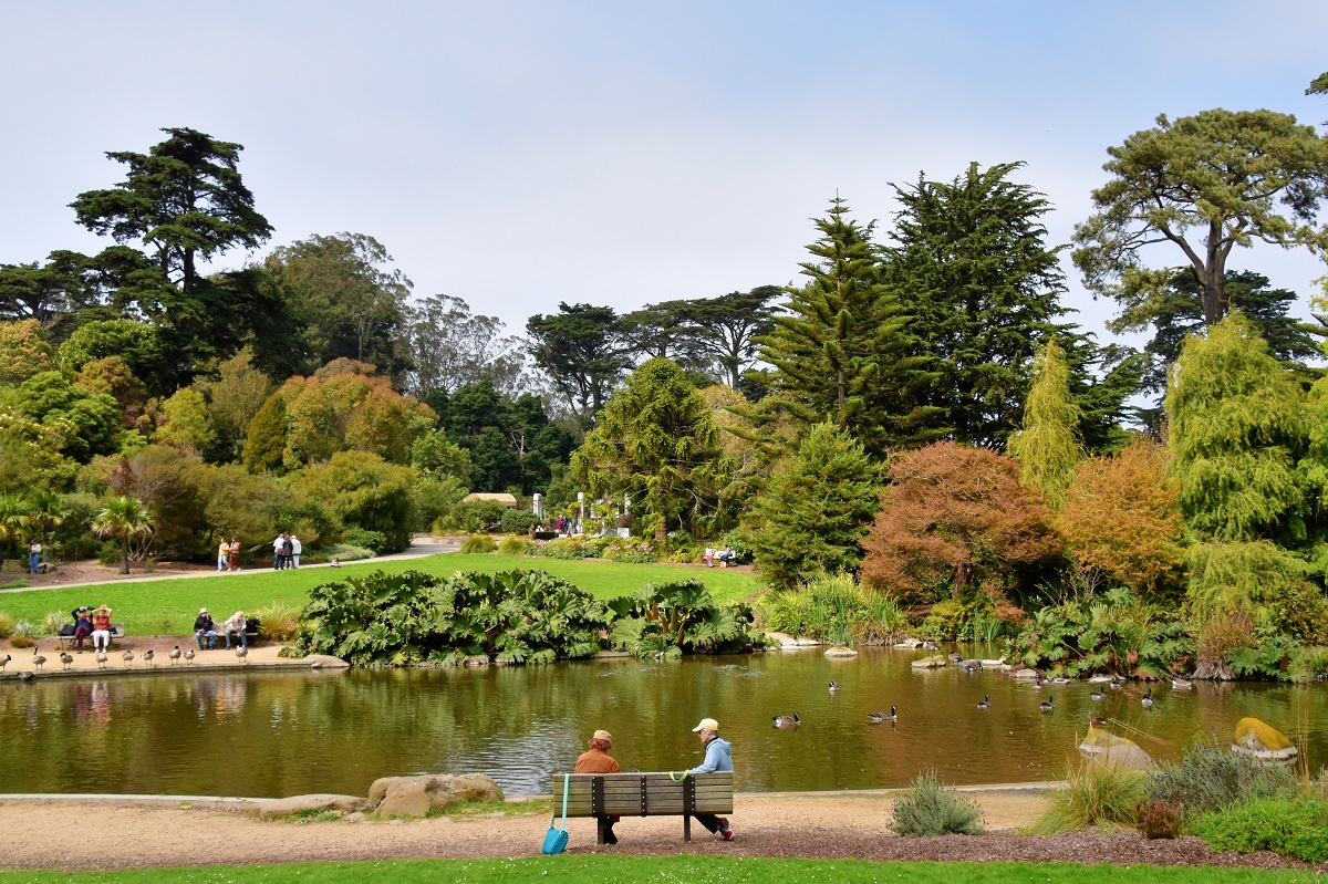Couple sits on park bench at Golden Gate Park in San Francisco with pond and many trees behind them