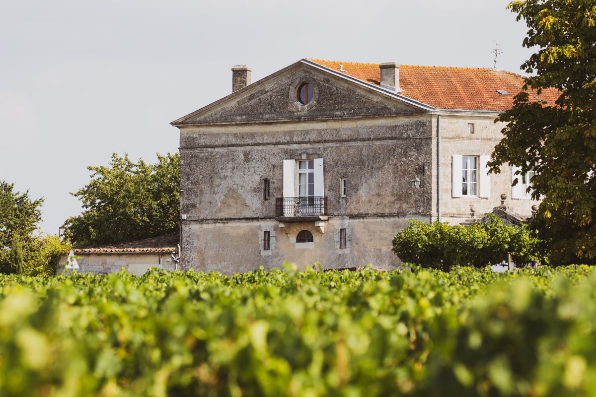 A view of a building next to a vineyard