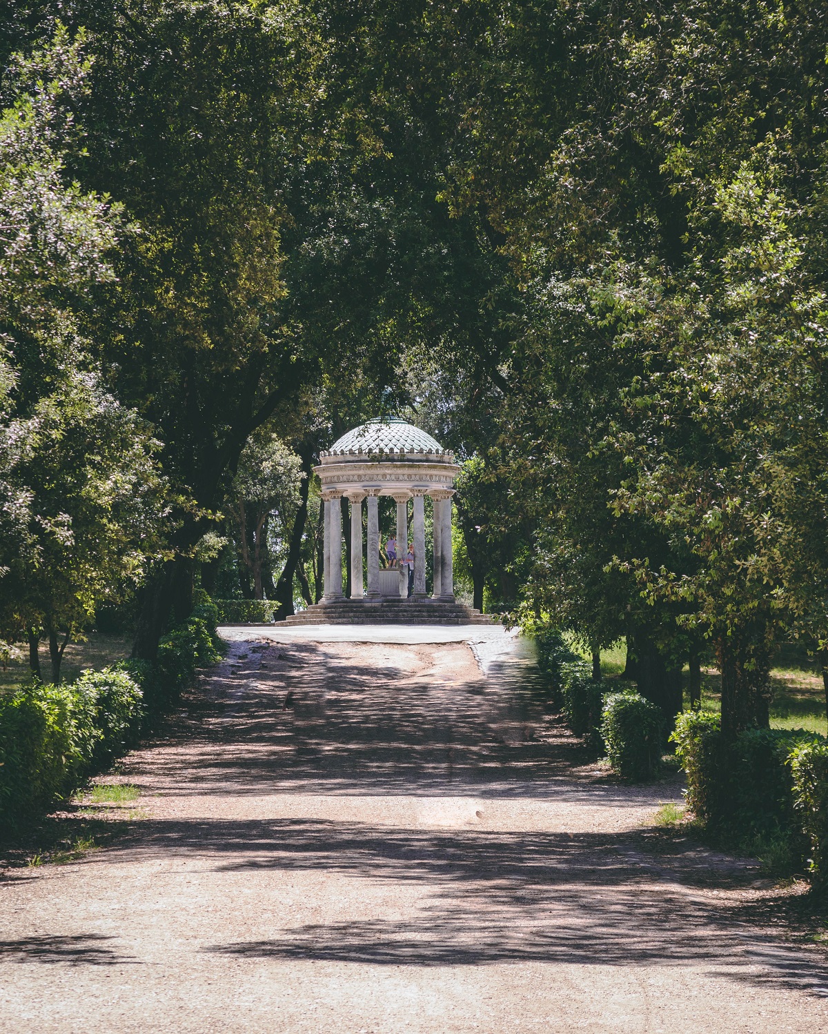 Wide path surrounded by greenery at the Borghese Villa in Rome