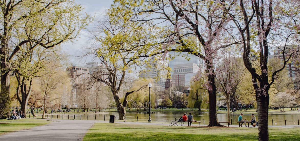 boston common in the spring with beautiful weather and bike riders